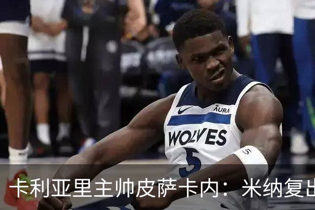 卡利亚里主帅皮萨卡内：米纳复出，菅原由势可出战