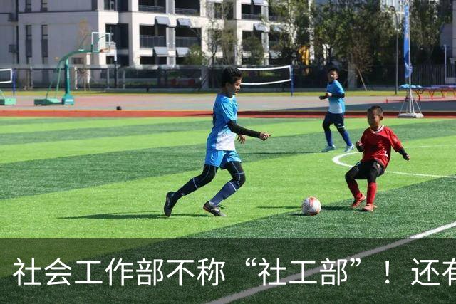 社会工作部不称“社工部”！还有哪些机构简称容易出错？